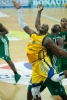 LIMOGES - © Yves Vielpeau (#04 WOOD - Journée 28 - saison 2011/2012)